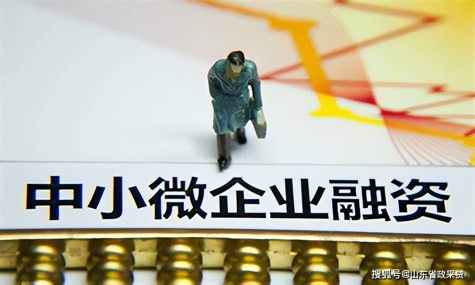 热点关注:小微企业融资状况如何?如何做好下一步工作?__信息_服务