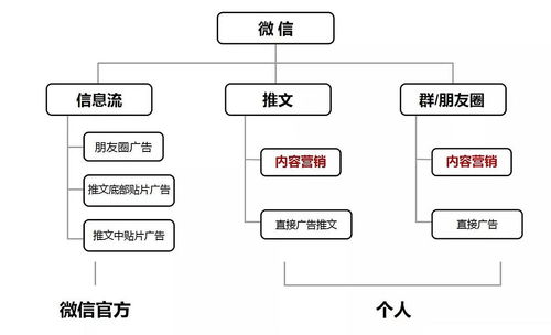 冷芸时尚圈日报 第270期 教育与行业趋势的深度思考